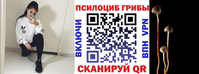 Псилоцибиновые грибы GOLDEN TEACHER  Купить  Карабаново 